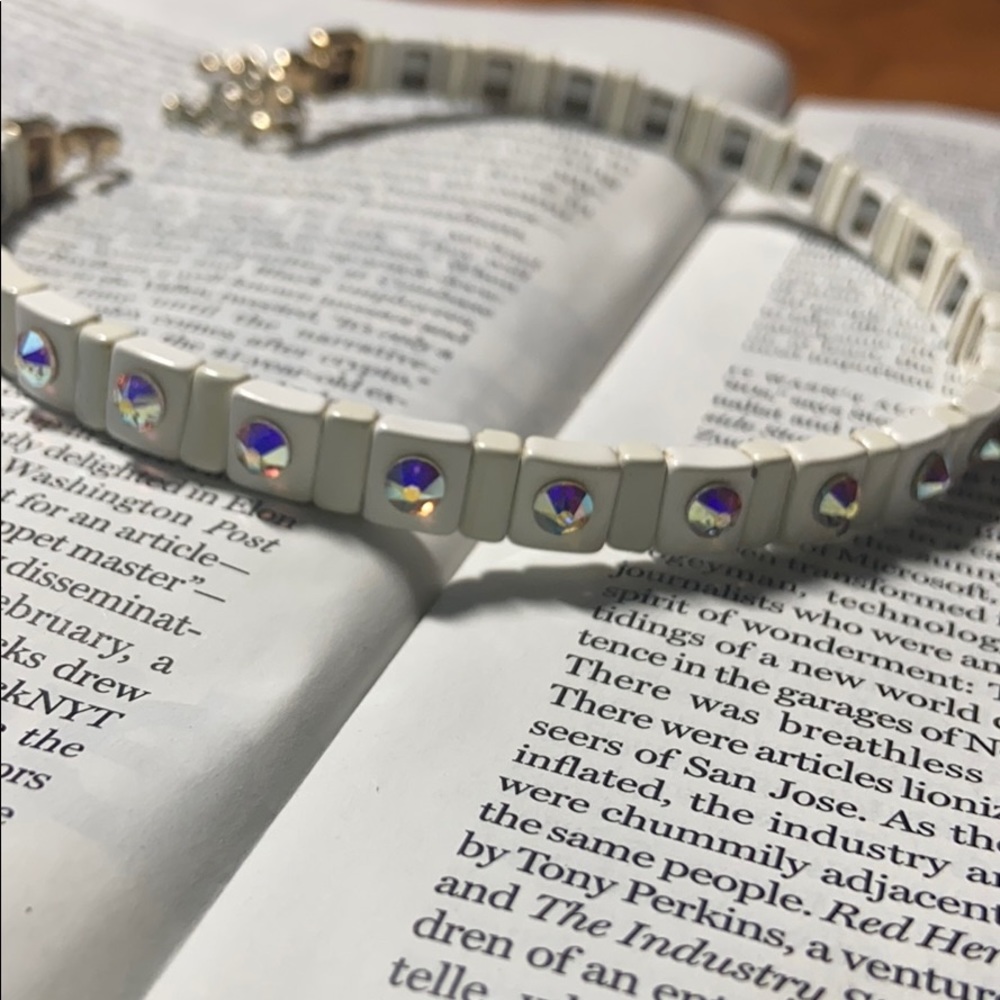 Roxanne Assoulin enamel chocker necklace